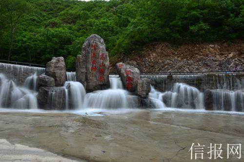 盐和避难所